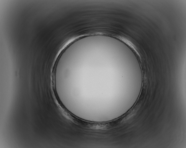X0000086771047200704130832