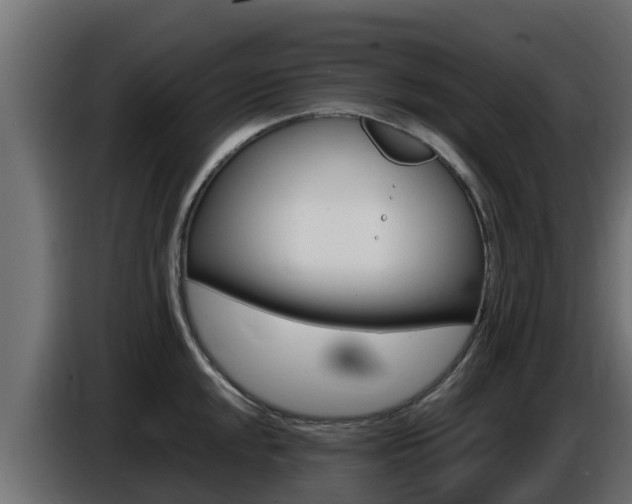 X0000086771048200704130832