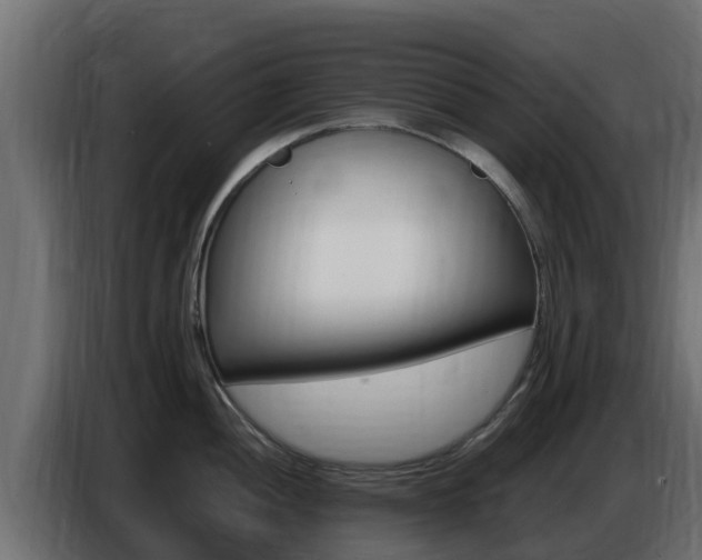 X0000086771052200704130832