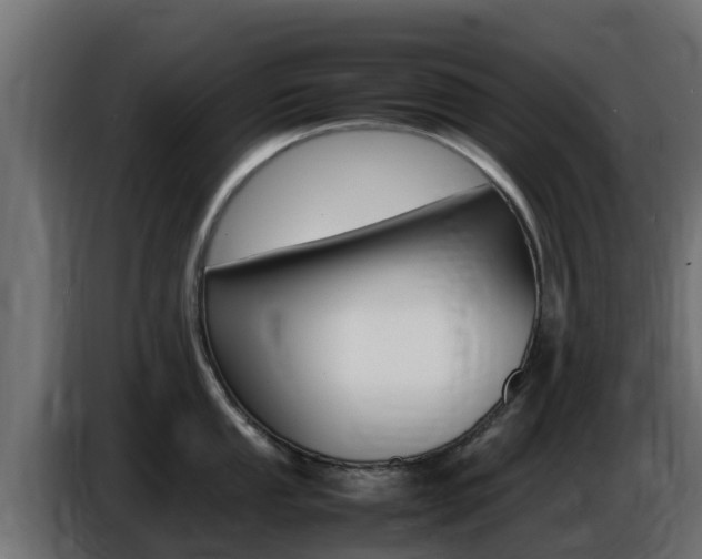 X0000086771053200704130832