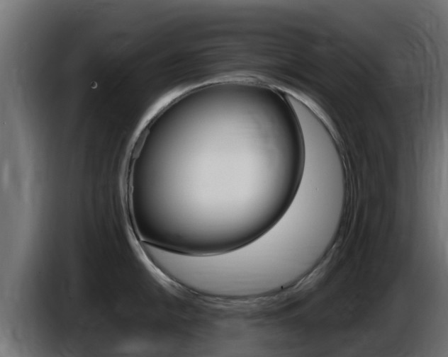 X0000086771054200704130832