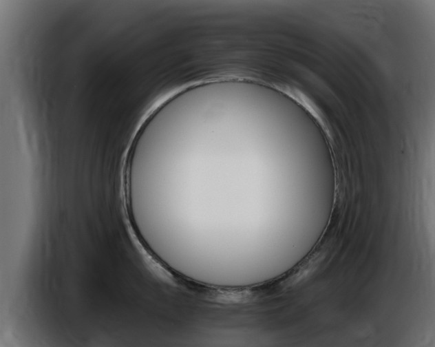 X0000086771055200704130832