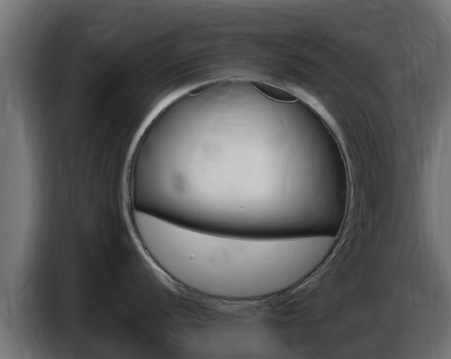 X0000086771056200704130832