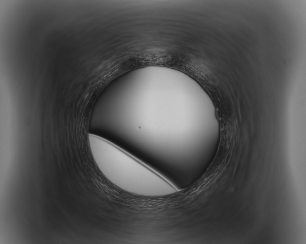 X0000086771058200704130831