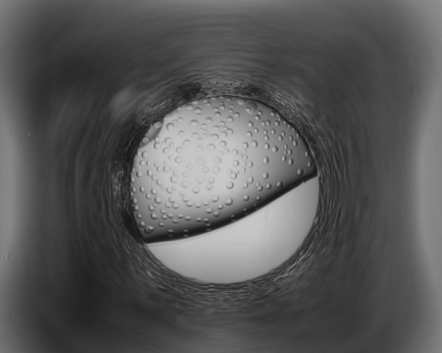 X0000086771059200704130831