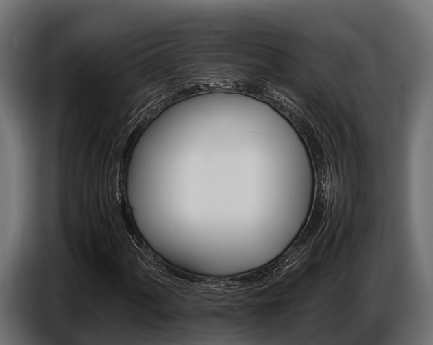 X0000086771060200704130831