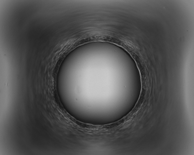 X0000086771061200704130831