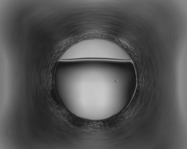 X0000086771062200704130831
