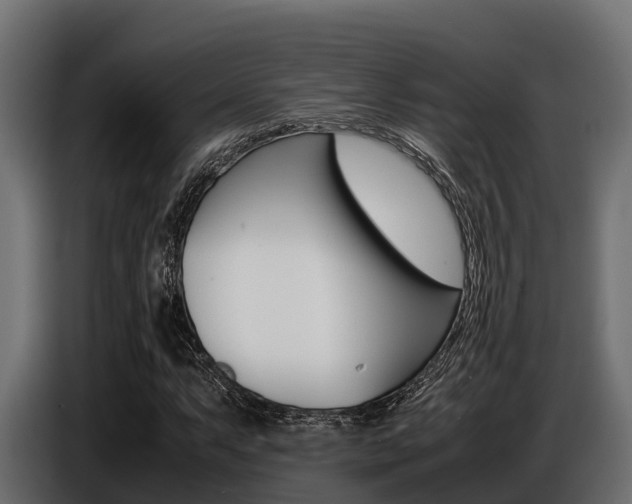 X0000086771063200704130831