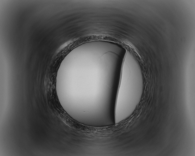 X0000086771064200704130831