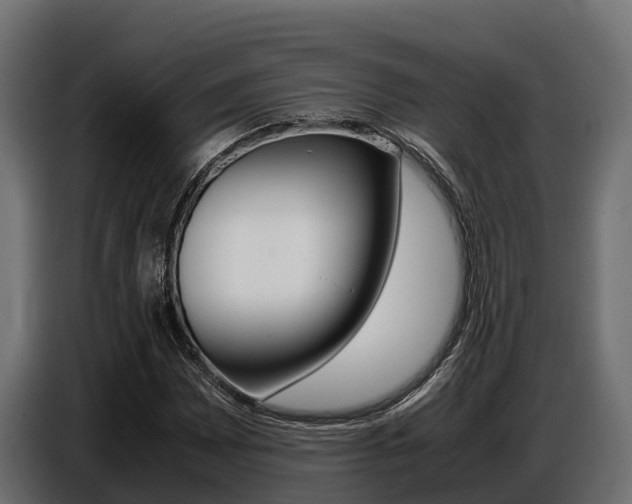 X0000086771065200704130831