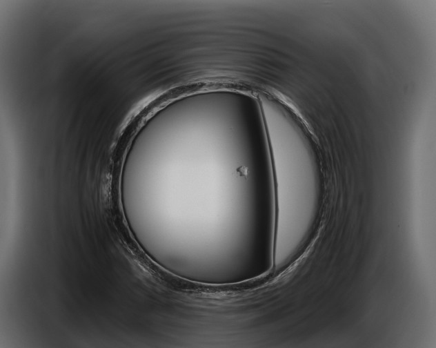 X0000086771066200704130831