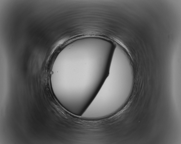 X0000086771067200704130831