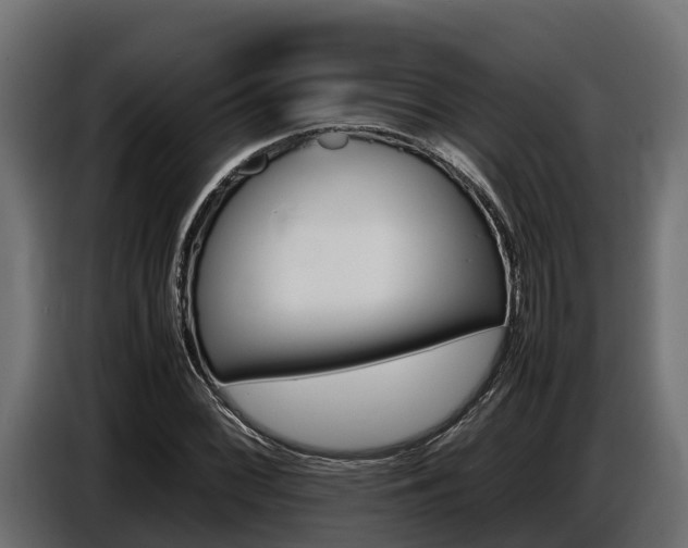 X0000086771068200704130831