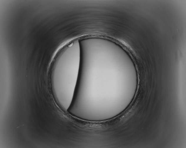 X0000086771070200704130831