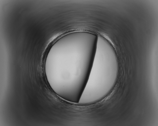 X0000086771071200704130831