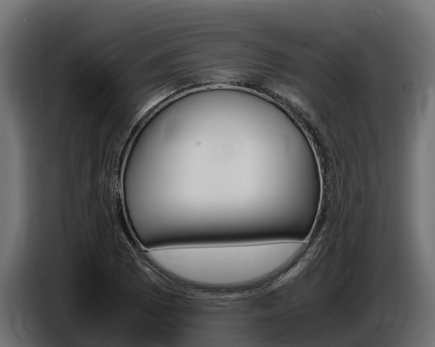 X0000086771073200704130831