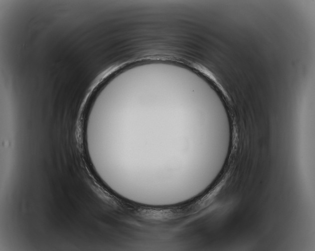 X0000086771074200704130831