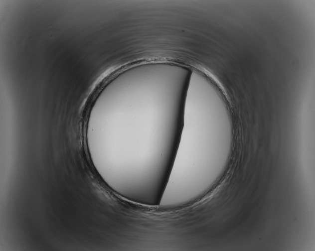 X0000086771075200704130831