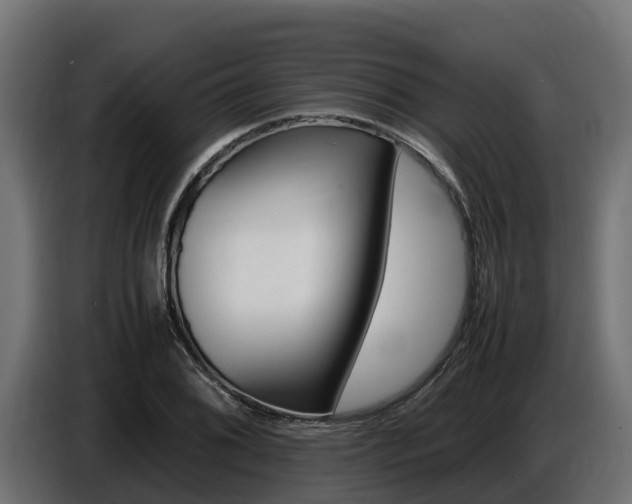 X0000086771076200704130831