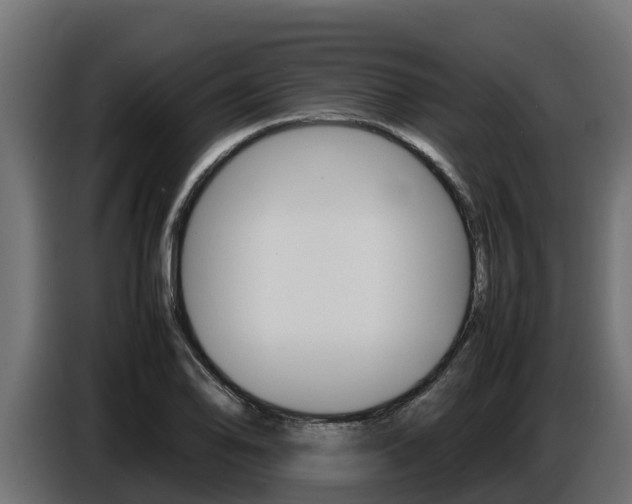 X0000086771078200704130831