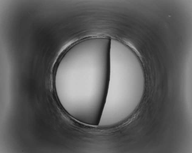 X0000086771079200704130831