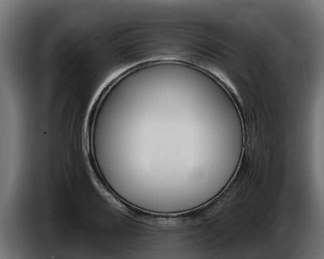 X0000086771080200704130831