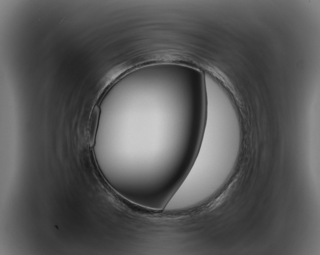 X0000086771081200704130831