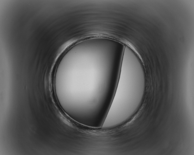 X0000086771082200704130831