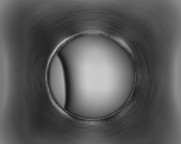 X0000086771084200704130831