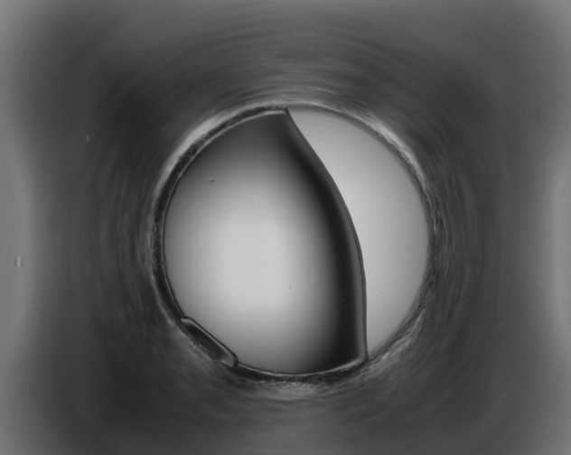 X0000086771085200704130831
