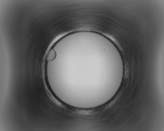 X0000086771086200704130831