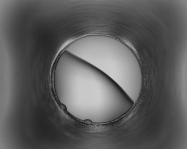 X0000086771087200704130831