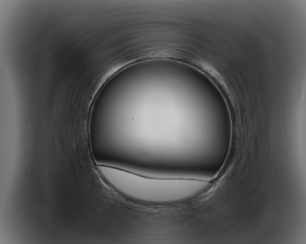 X0000086771089200704130831
