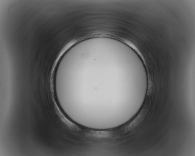 X0000086771090200704130831