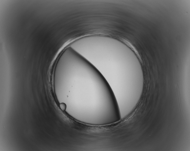 X0000086771091200704130831
