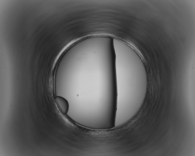 X0000086771092200704130831