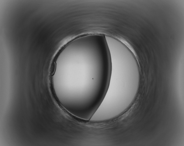 X0000086771093200704130831