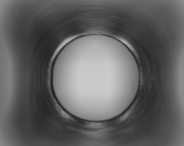 X0000086771094200704130831