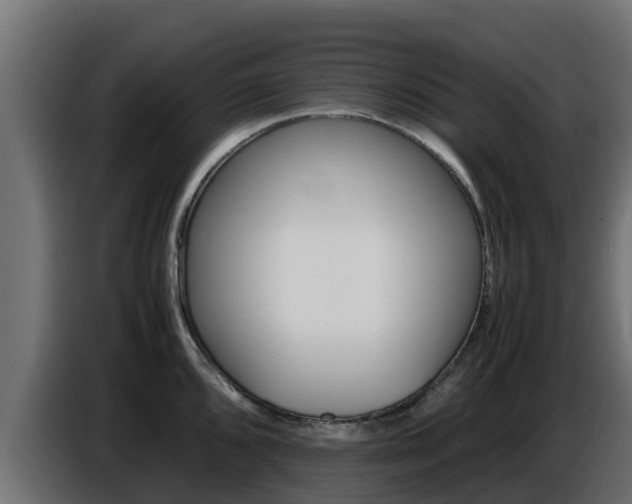 X0000086771096200704130831