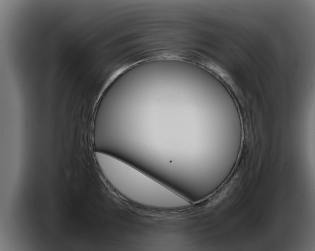 X0000086771097200704130831