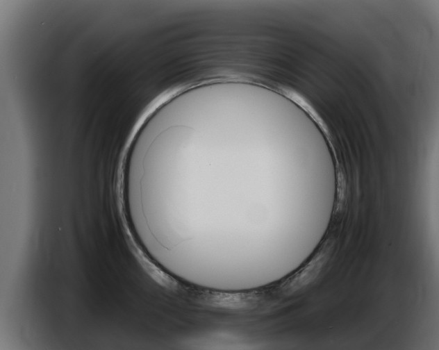 X0000086771098200704130831