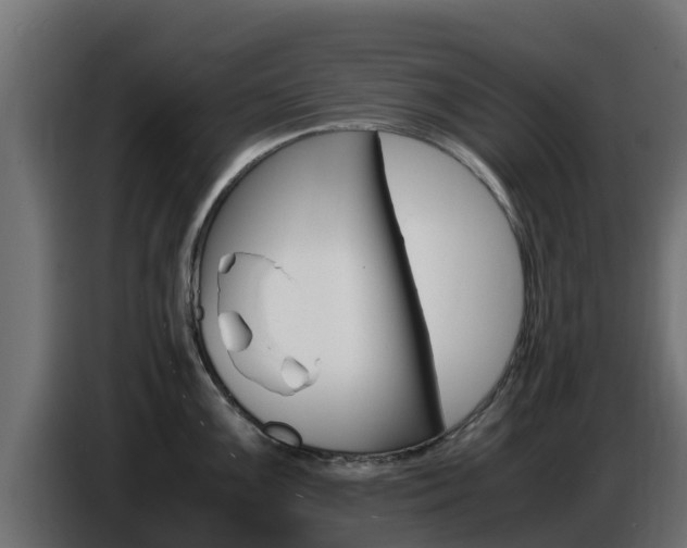 X0000086771099200704130831