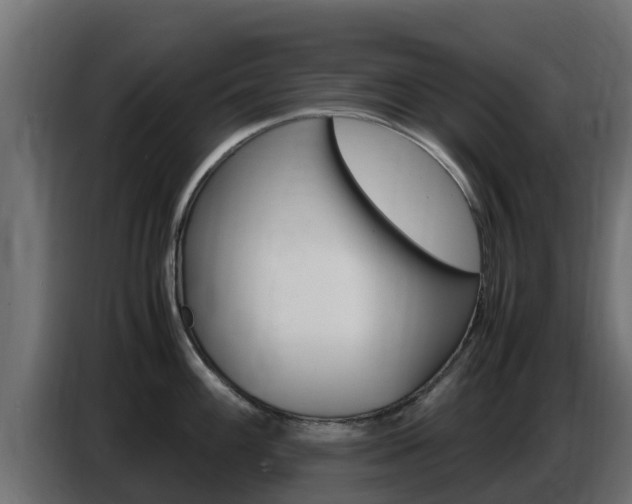 X0000086771100200704130831