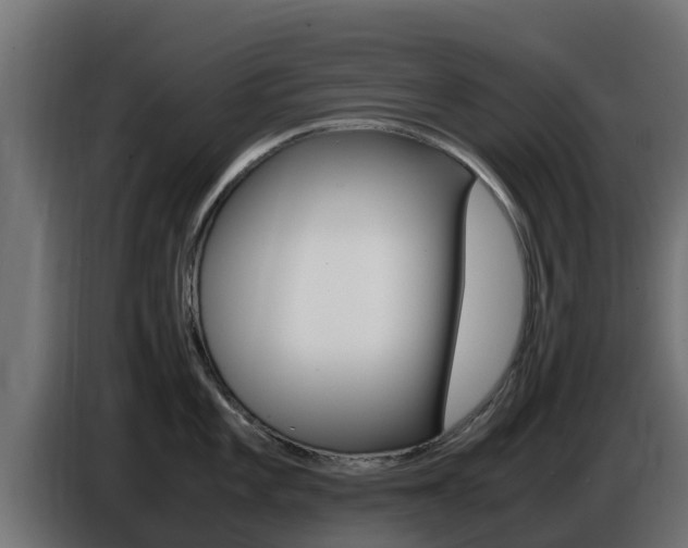 X0000086771101200704130831