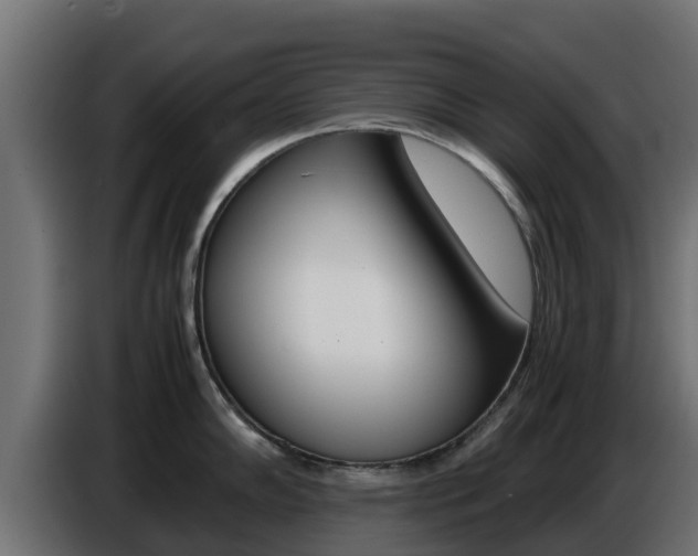 X0000086771102200704130831