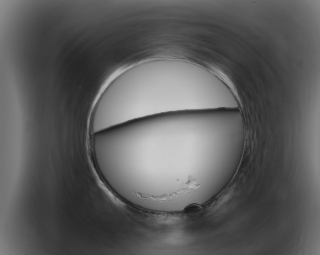 X0000086771103200704130831