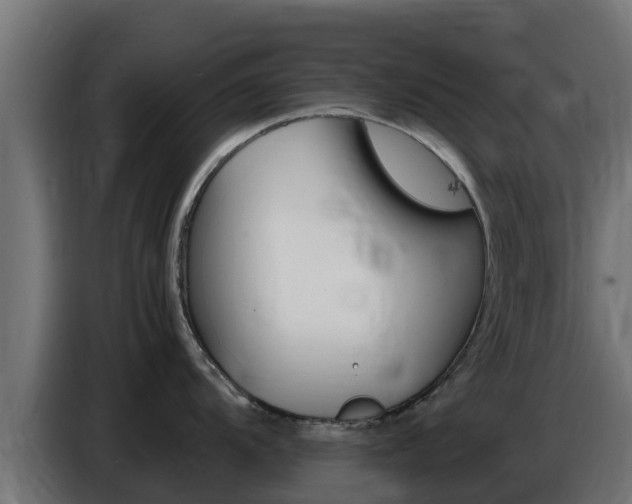 X0000086771104200704130831