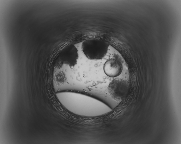X0000086771105200704130830