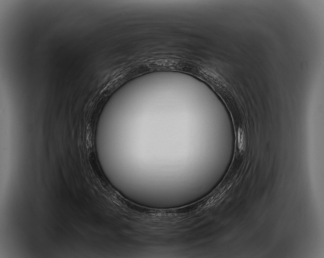 X0000086771107200704130830